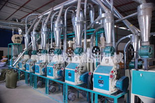 小型小麥加工面粉機械圖片,小型小麥加工面粉機械高清圖片 河南成立糧油,