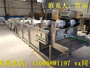 蔬菜加工機械全攻略 菠菜、腌黃瓜與野菜清洗設備的應用