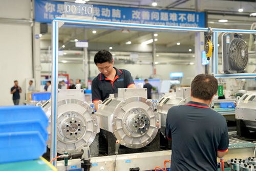 兩新政策紅利惠及生產(chǎn)企業(yè)，保稅造借機(jī)遇再上新臺(tái)階